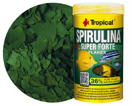 Suché krmivo Spirulina flakes